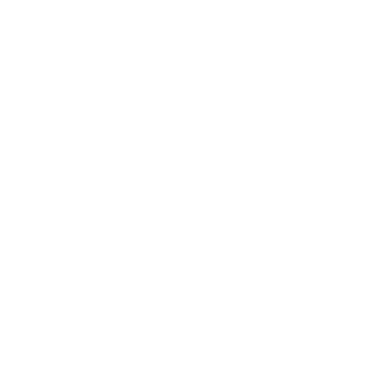 Overview Logo
